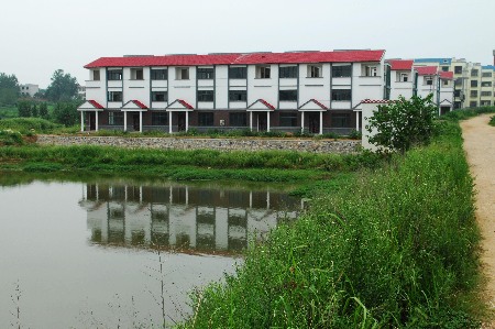 羅山借新農村建設建房牟利追蹤:違規未見管新地又被占