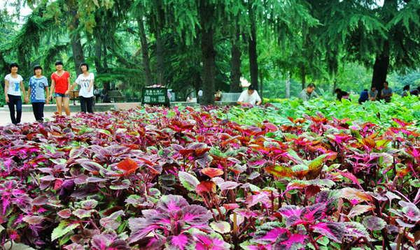 鄭州秋高氣爽 市民游園感受美景