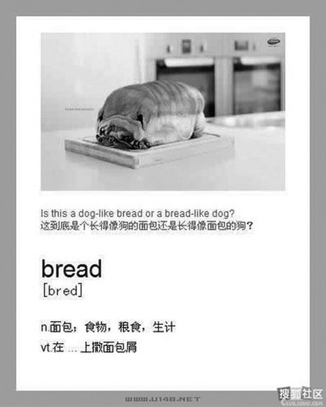 另類單詞速記法瘋傳 網(wǎng)友高呼“收進(jìn)教材”