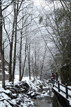 神農(nóng)架降十年最大春雪