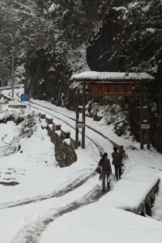 神農(nóng)架降十年最大春雪