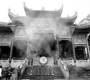 專家: