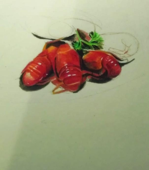 武漢理工大女生手繪美食走紅網(wǎng)絡(luò) 被稱(chēng)文藝范吃貨