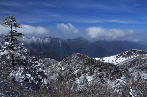 強(qiáng)冷空氣致神農(nóng)架驟降“桃花雪”