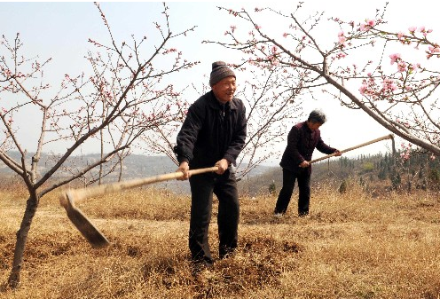 震撼人心的堅守：盲老漢10年綠化荒山