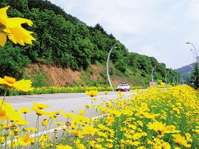 集安境內集錫公路兩側風景亮麗