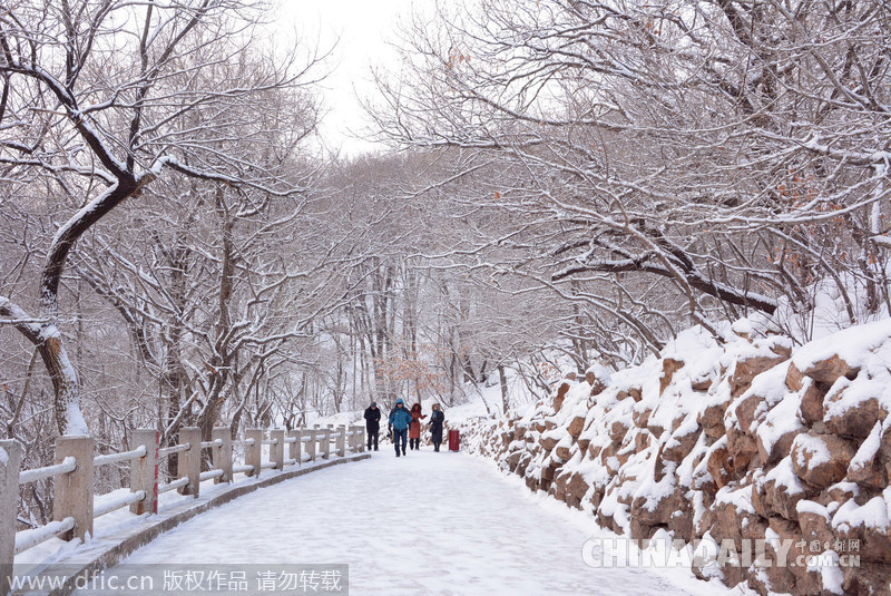 吉林迎來2015年首場大雪 氣象臺發布道路冰雪預警
