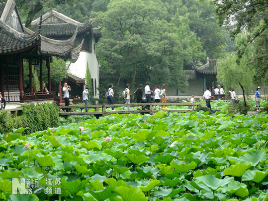 蘇州拙政園荷花旅游節(jié)開幕