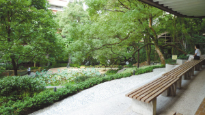 香港大學(xué)百年歷史里的美麗與動感(組圖)
