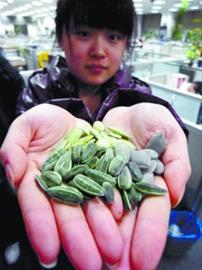 沈陽市場部分“綠茶”瓜子是色素泡出來的