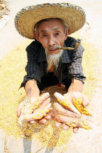 中國(guó)農(nóng)業(yè)融入世界大舞臺(tái) 已成為第四大進(jìn)口國(guó)