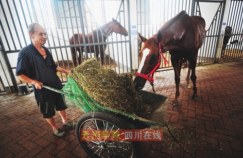每匹馬價(jià)值百萬(wàn) 想玩它們得交18.8萬(wàn)入會(huì)費(fèi)