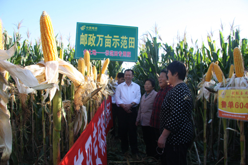 山東郵政：發揮郵政網絡優勢，建立“三農”服務體系