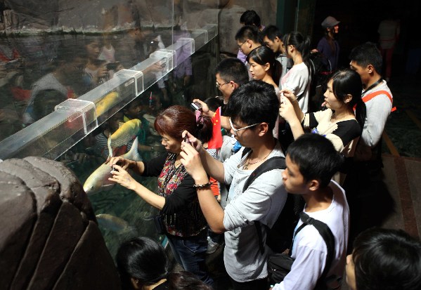 海洋館里的快樂假期