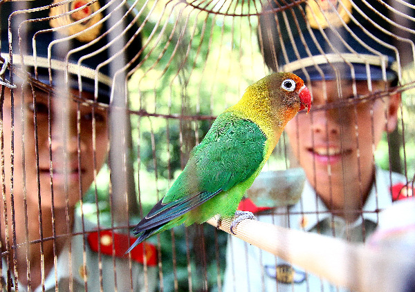 士兵護(hù)鳥愛鳥 駐地生態(tài)優(yōu)良