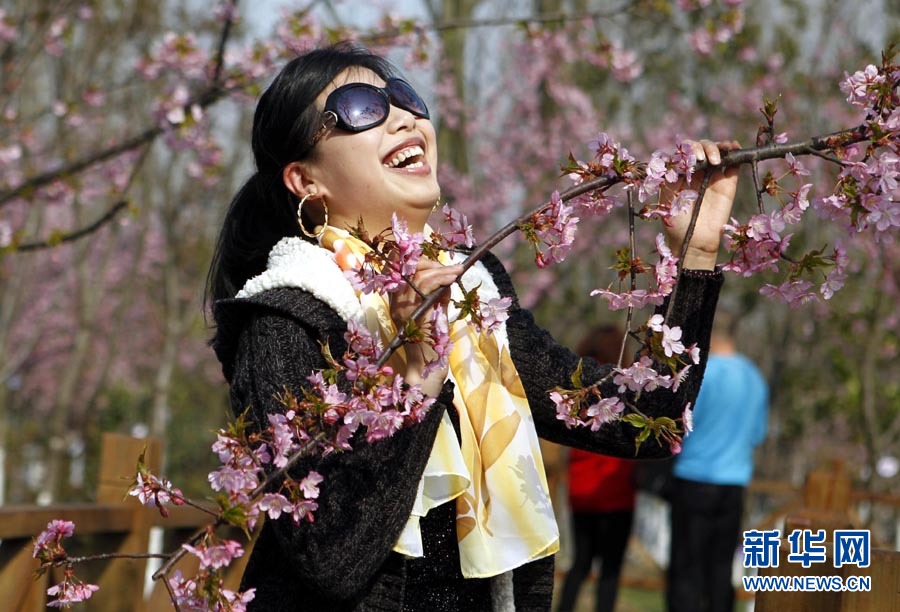 2012上海櫻花節“櫻之緣”攝影賽開拍