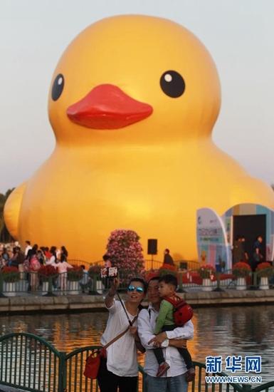 大黃鴨于本周末揮別上海 已接待游客逾50萬人次