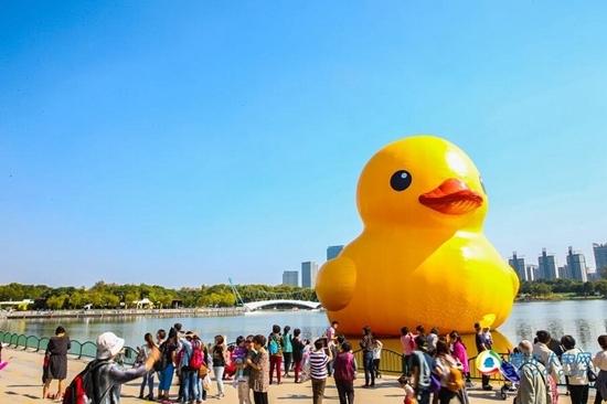 大黃鴨于本周末揮別上海 已接待游客逾50萬人次