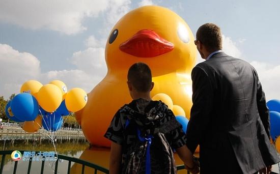 大黃鴨于本周末揮別上海 已接待游客逾50萬人次