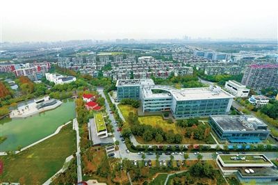 浦東時報特供：“雙自聯動”推張江“換擋加速”