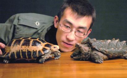 上海市民錯買鱷龜后頻棄養 動物園收容“龜滿為患”[圖]