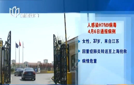 上海再現感染H7N9病毒病例 發病率與活禽交易有關