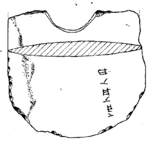 中國最早原始文字引熱議 被指是刻畫 非漢字前身