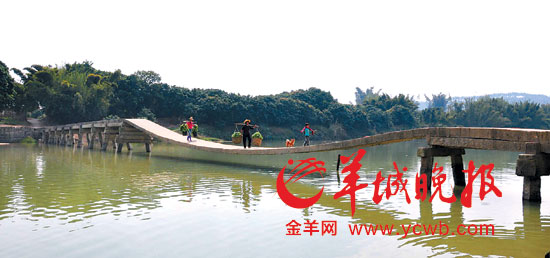廣東惠來驚現(xiàn)“最牛倒拱橋” 橋面凹陷20余米(圖)
