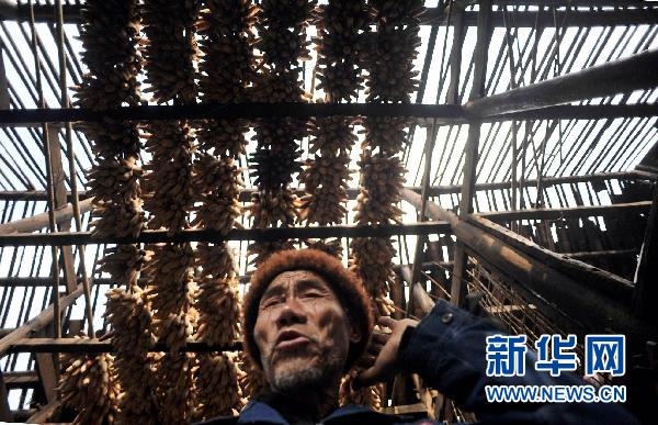 貴州10個縣區遭受冰雹災害 損失嚴重