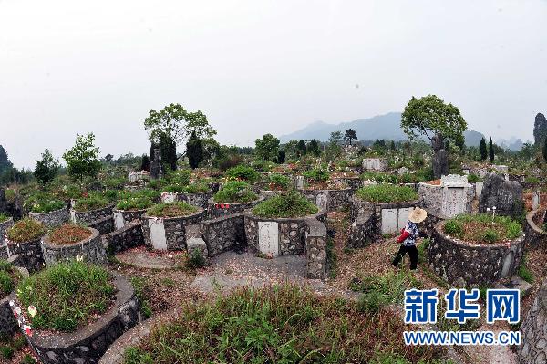 6萬座私墳入侵靖江王陵 國家級(jí)保護(hù)單位亂象叢生