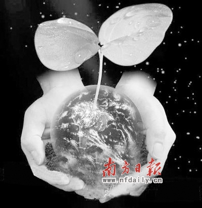 “麥兜族”奔波在追夢(mèng)的路上 腳踏實(shí)地默默奮斗