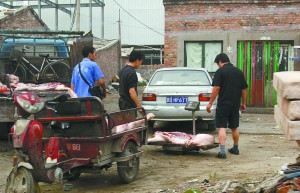 如何斬斷“泔水豬”利益鏈？