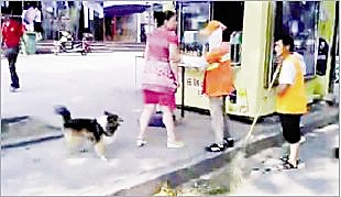 環(huán)衛(wèi)工遭狗主人追罵