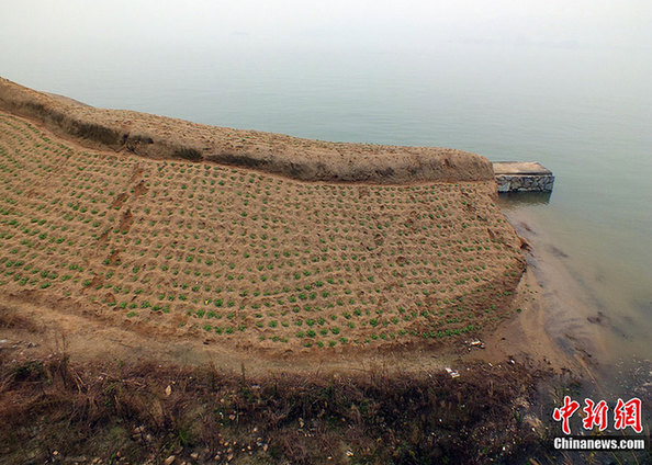 三峽水庫再次實(shí)現(xiàn)175米蓄水