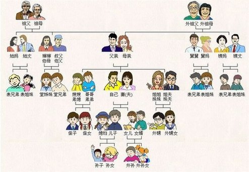 中國(guó)親戚關(guān)系圖受網(wǎng)友追捧 被贊“回家過(guò)年必備”