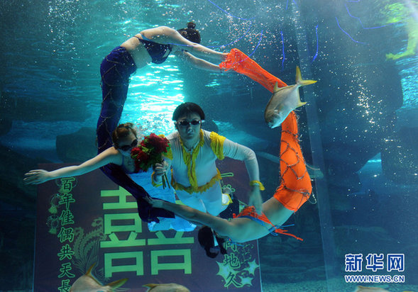 濟(jì)南：海底婚禮 見證別樣的“海枯石爛”