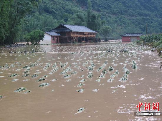 中國南方迎新一輪強降雨 各地加強部署防災減災