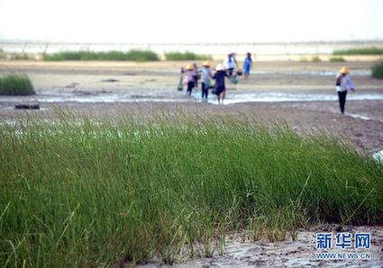 高清大圖：不只是食人魚 警惕“外來物種入侵”