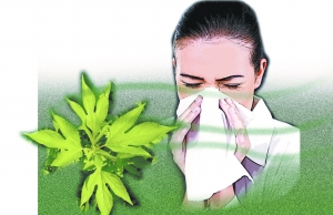 哪些外來生物已經入侵北京？