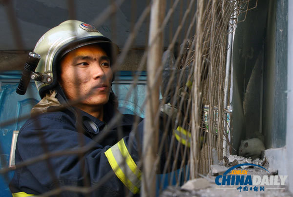 長春一居民家現(xiàn)18只老鼠 消防員徒手捕鼠1小時