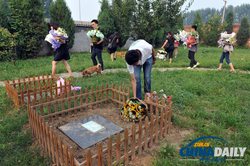 高清：寵物狗航空托運死亡 數十愛心人士送別