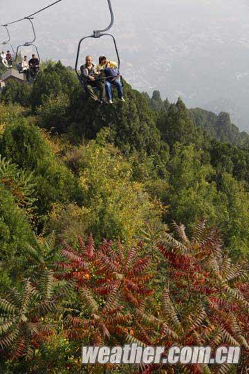 第24屆香山紅葉文化節開幕 氣溫導致紅葉變色推遲（圖）