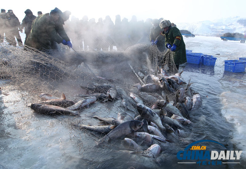 長春石頭口門水庫冬捕開始 單網出魚1.4萬公斤