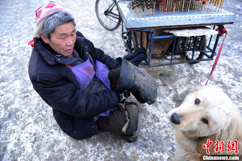 高清組圖“義狗”寒冬拉車助身殘主人賣冰糖葫蘆
