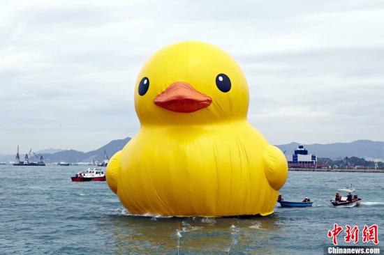 大黃鴨已“休息好” 何時復出看香港天氣(圖)