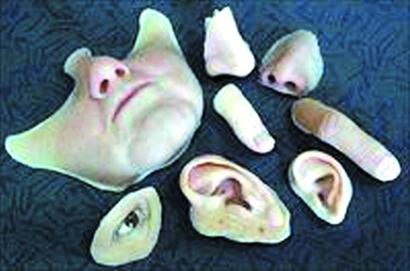 男子用豬皮自制面具 網(wǎng)上學(xué)“易容術(shù)”盜竊