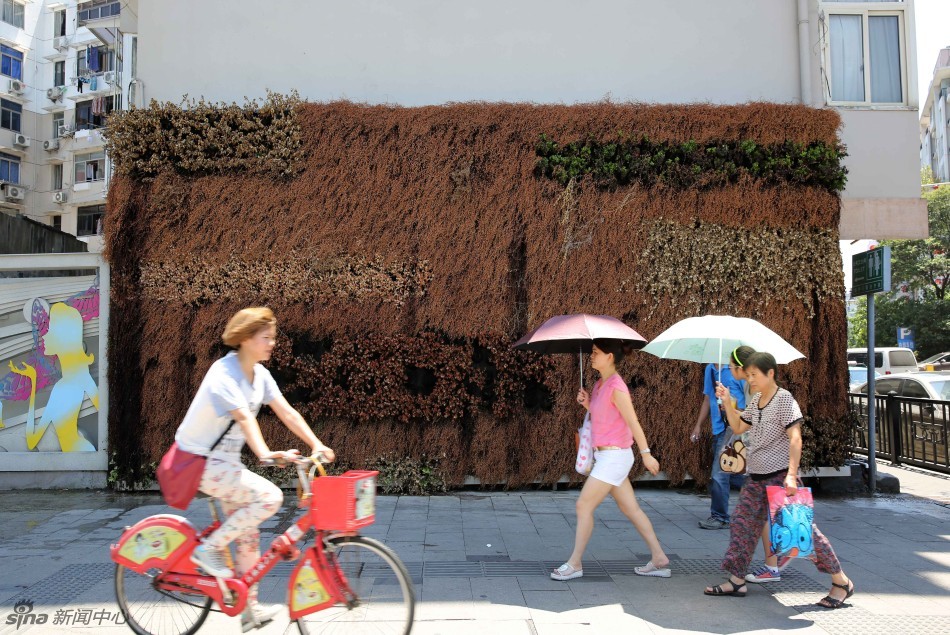 40.4℃高溫破紀錄 杭州市民全副武裝眾生相