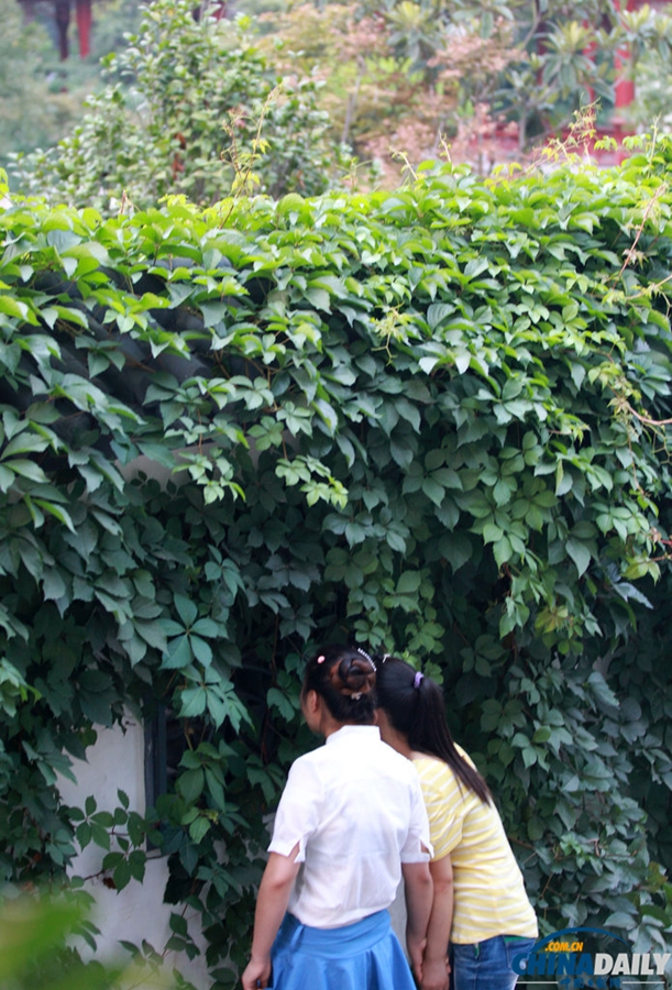 高清：鄭州一公園每天只開(kāi)4小時(shí) 閉園后變高檔餐館