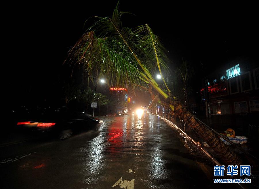 強(qiáng)熱帶風(fēng)暴“飛燕”登陸海南 街邊大樹被連根拔起