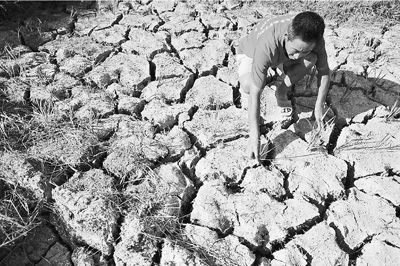 南方高溫創(chuàng)1951年以來之最
